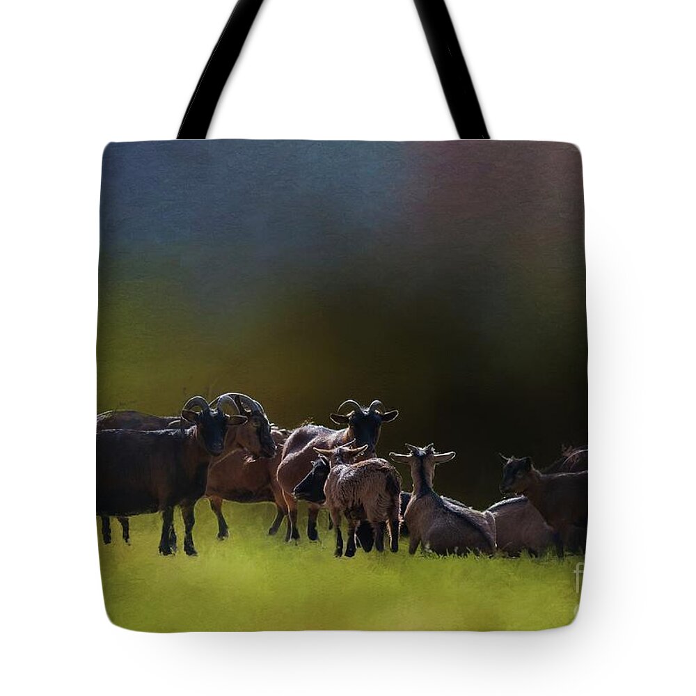 Pygmy Goats Tote Bag featuring the painting Pygmy Goats by Eva Lechner