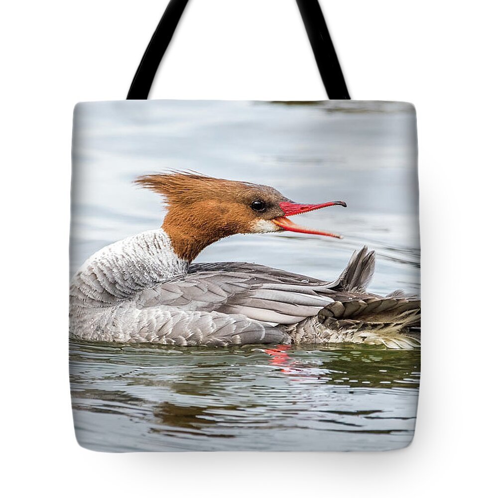 Female Tote Bag featuring the photograph Quaack by Paul Freidlund