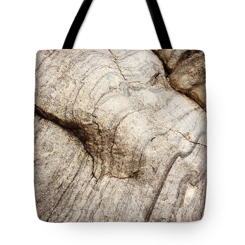 Cute Tote Bag featuring the photograph Quartzite Elephant by Noah Kaufman