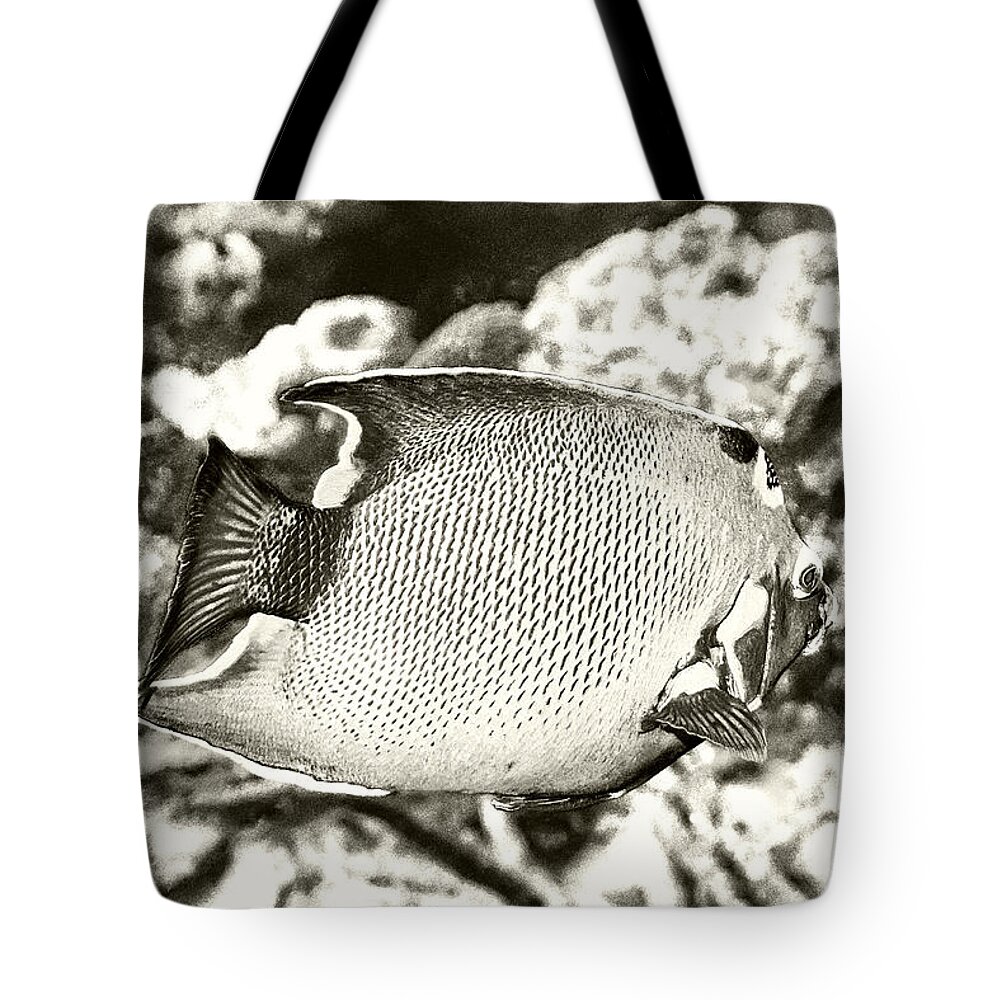 Queen Angelfish Tote Bag featuring the photograph Queen Angelfish by Perla Copernik