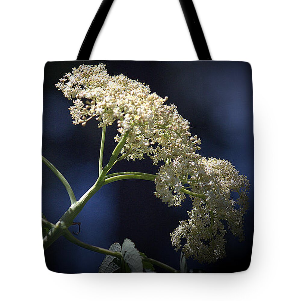 Flower Tote Bag featuring the photograph Queen Anne's Lace by Lori Seaman