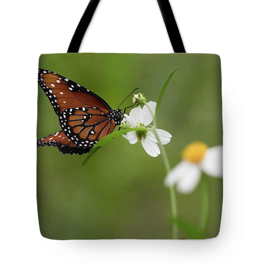 Butterfly Tote Bag featuring the photograph Queen Drinking Nectar by Artful Imagery