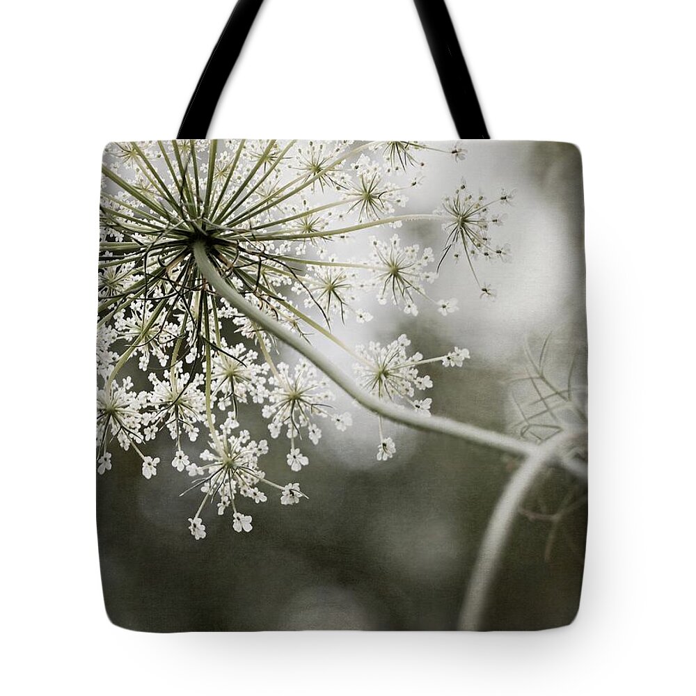 Queen Anne's Lace Tote Bag featuring the photograph Queen of the Forest by Angie Rea