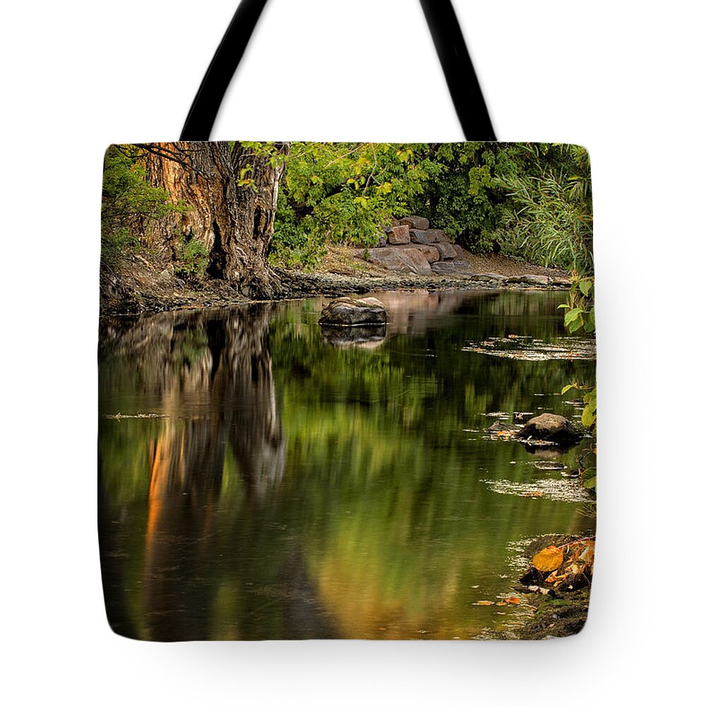 Water Tote Bag featuring the photograph Quiet River by Scott Read