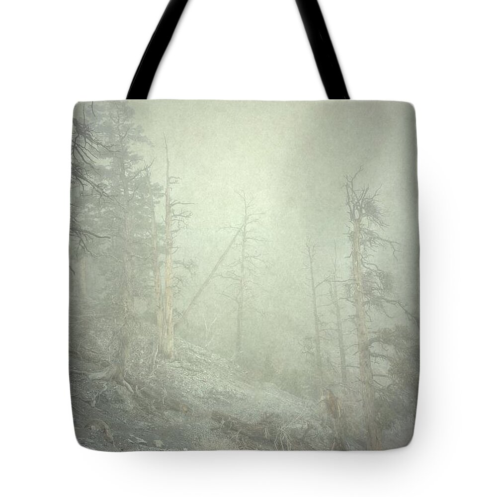 Cloud Tote Bag featuring the photograph Quiet Type by Mark Ross