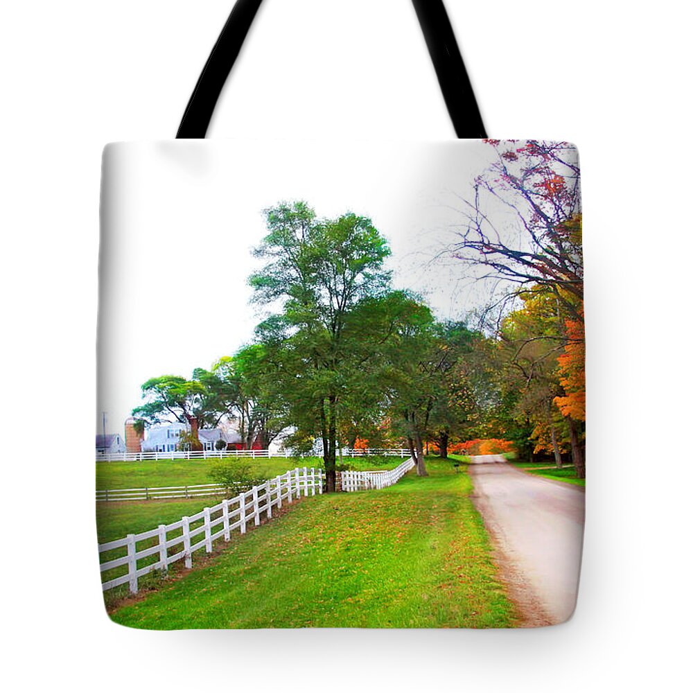 Quintessence Of Autumn Tote Bag featuring the photograph Quintessence of Autumn by Pat Cook