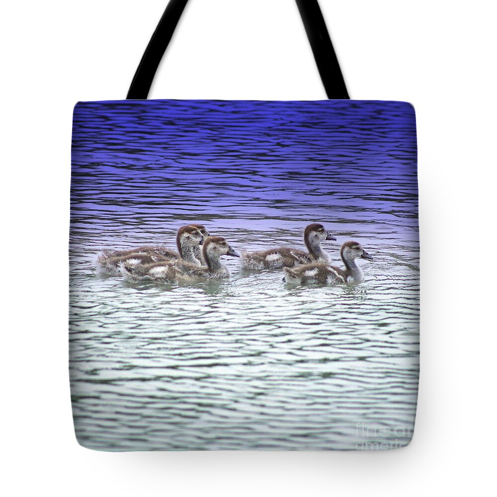 Photography Tote Bag featuring the photograph Quintuplets by Ella Kaye Dickey