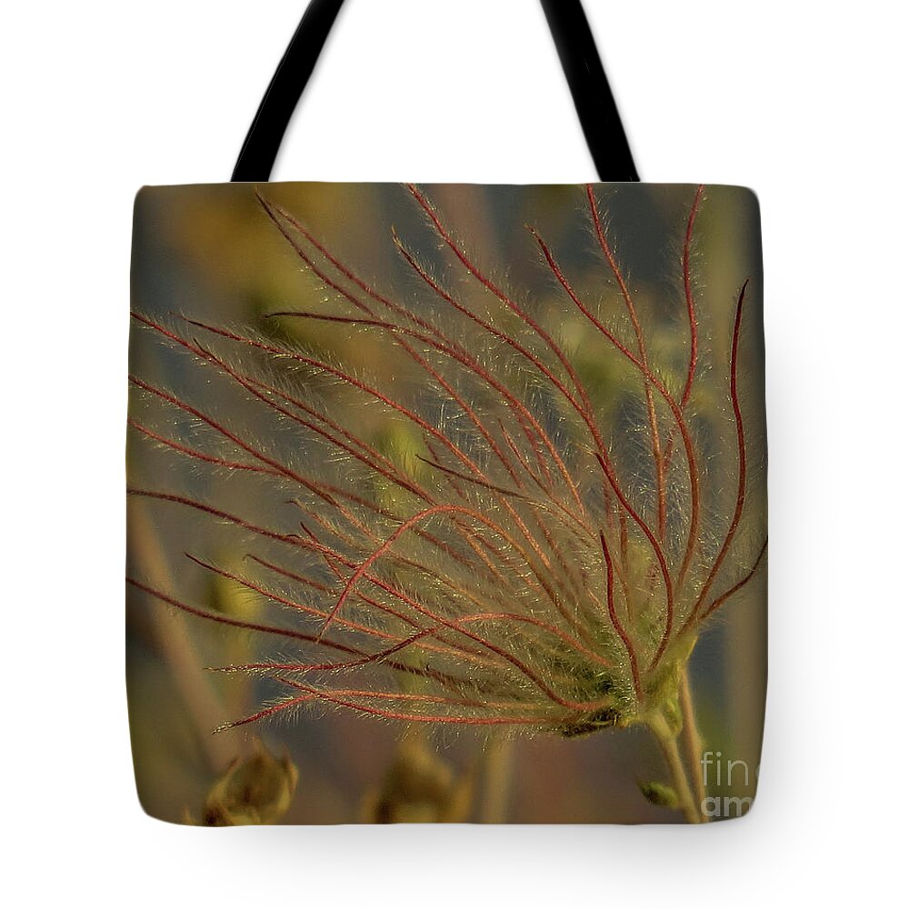 Red Tote Bag featuring the photograph Quirky Red Squiggly Flower 4 by Christy Garavetto