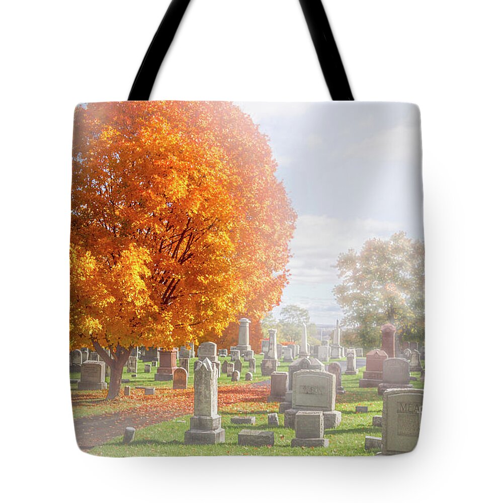 Fall Tote Bag featuring the photograph Quiet Neighbors by William Norton