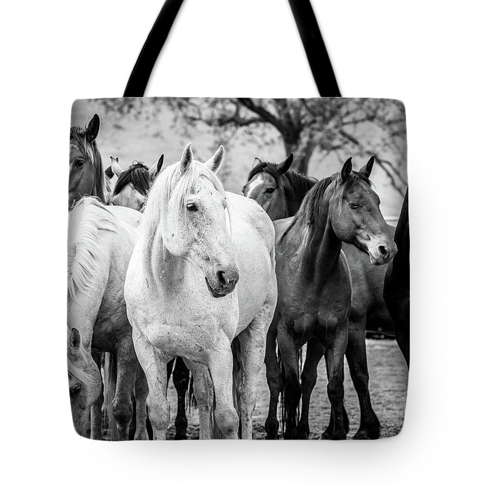 Horses Tote Bag featuring the photograph Quittin Time by Eleanor Abramson