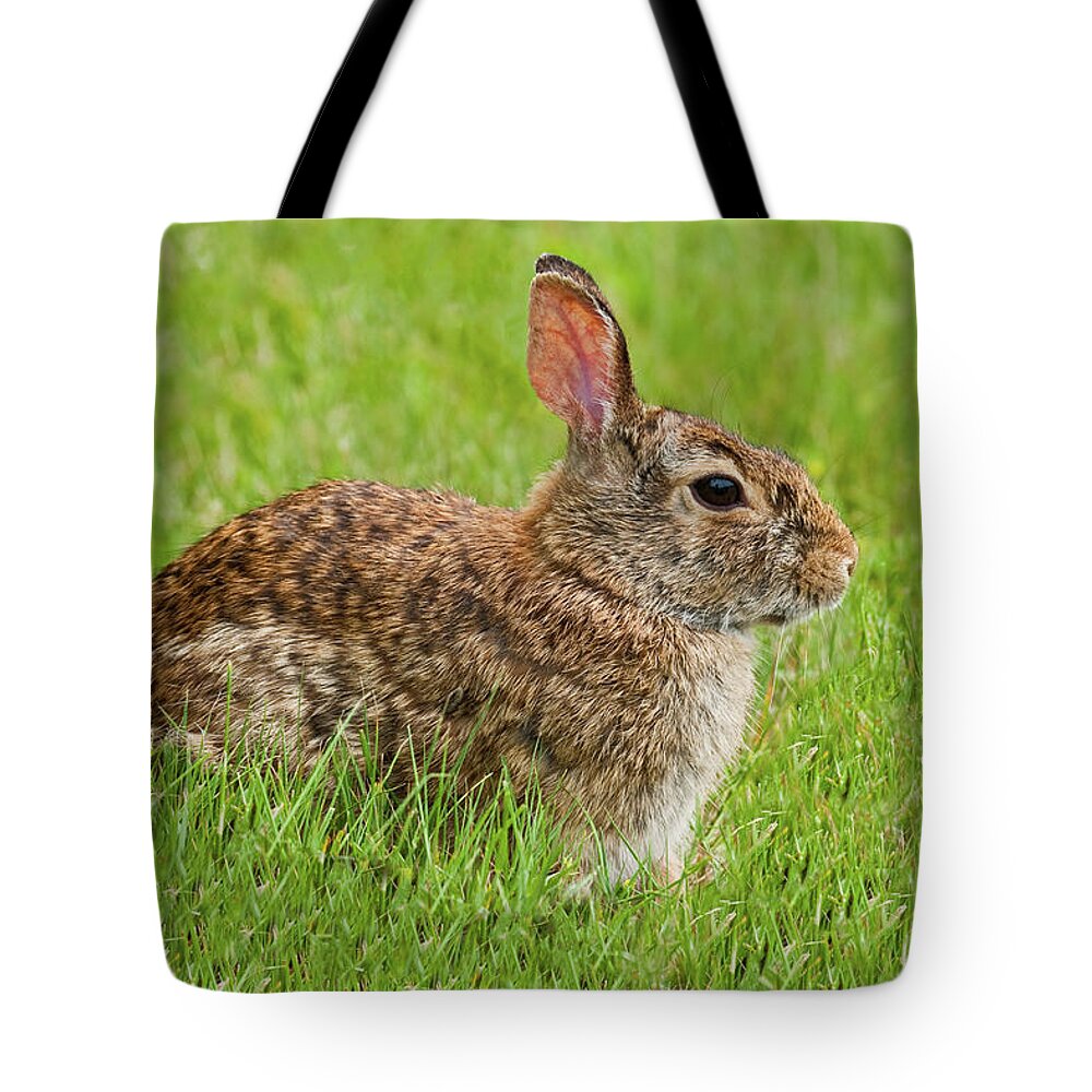 Animal Tote Bag featuring the photograph Rabbit in a Grassy Meadow by Jeff Goulden