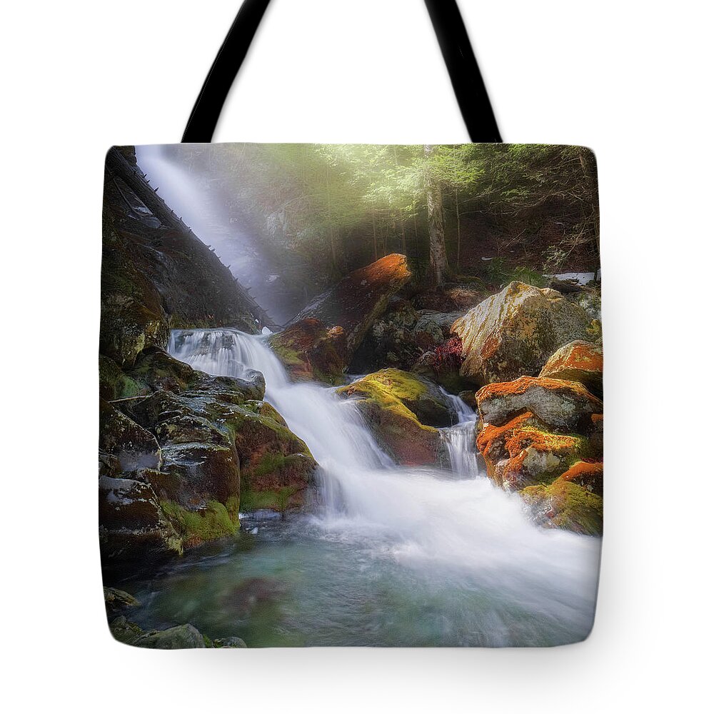 Square Tote Bag featuring the photograph Race Brook Falls 2017 Square by Bill Wakeley