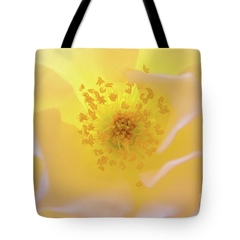 Flower Tote Bag featuring the photograph Radiant Gift by Julia Hiebaum
