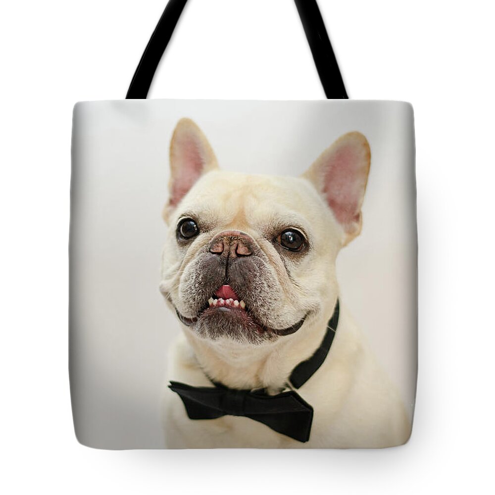 French Bulldog Tote Bag featuring the photograph Raimy 2 by Irina ArchAngelSkaya