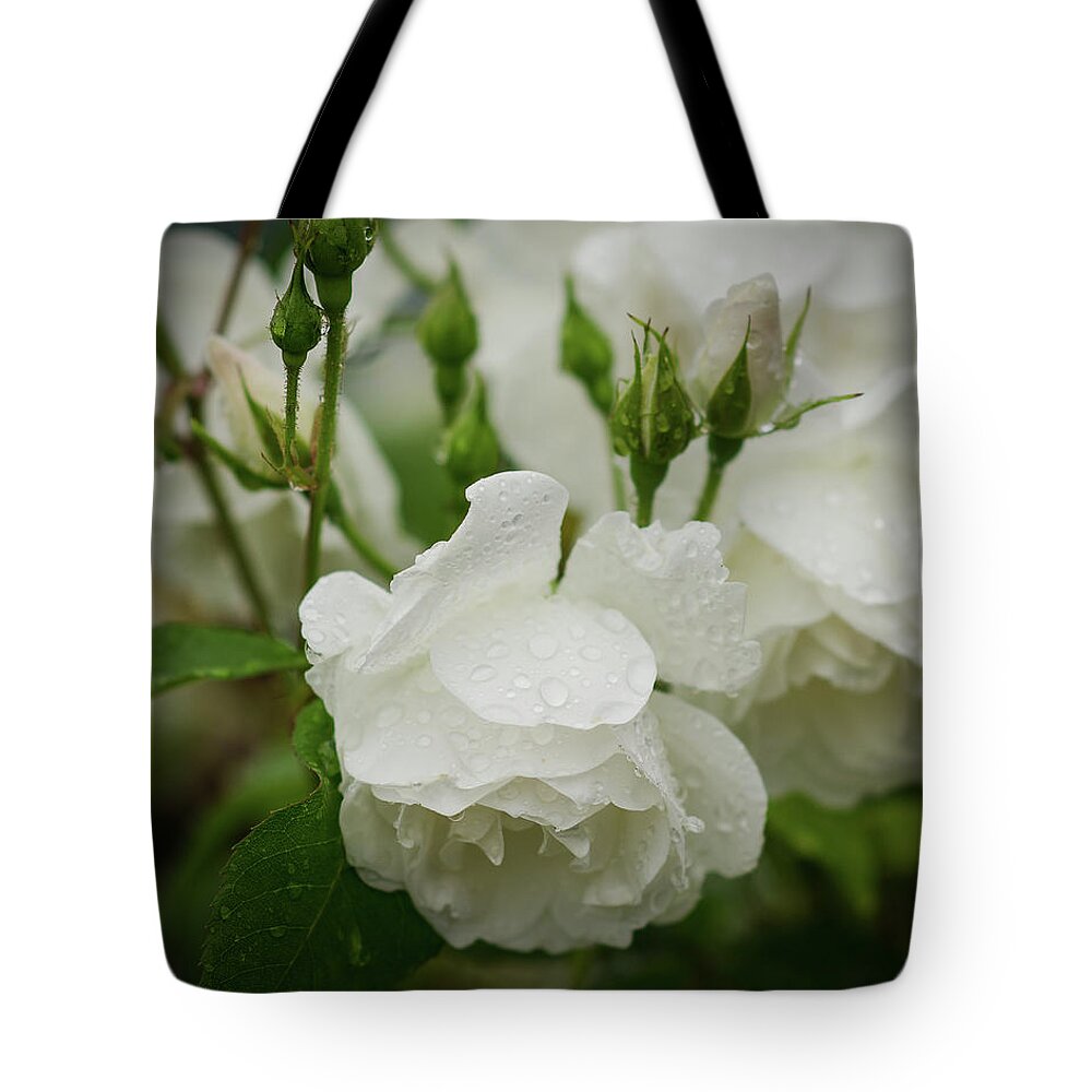 Allemagne Tote Bag featuring the photograph Rain Drops in Our Garden by Miguel Winterpacht