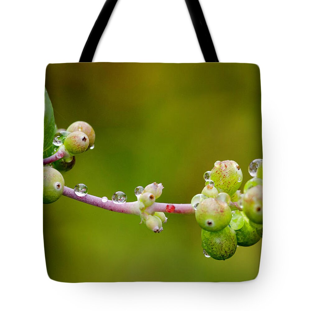 Rain Drop Tote Bag featuring the photograph Rain Drops on a Stem by Crystal Wightman