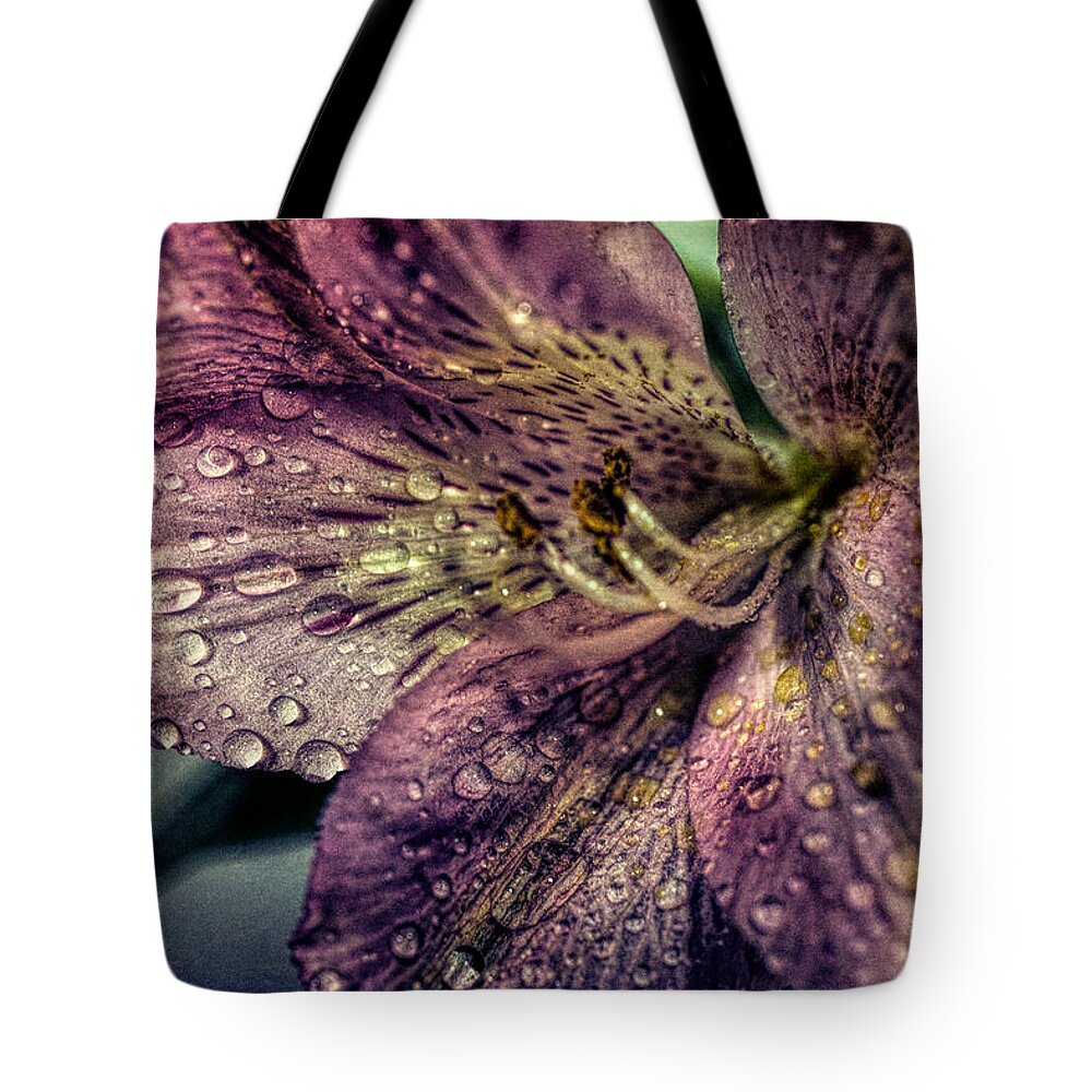 Pink Tote Bag featuring the photograph Rain drops on Lily by Lilia D
