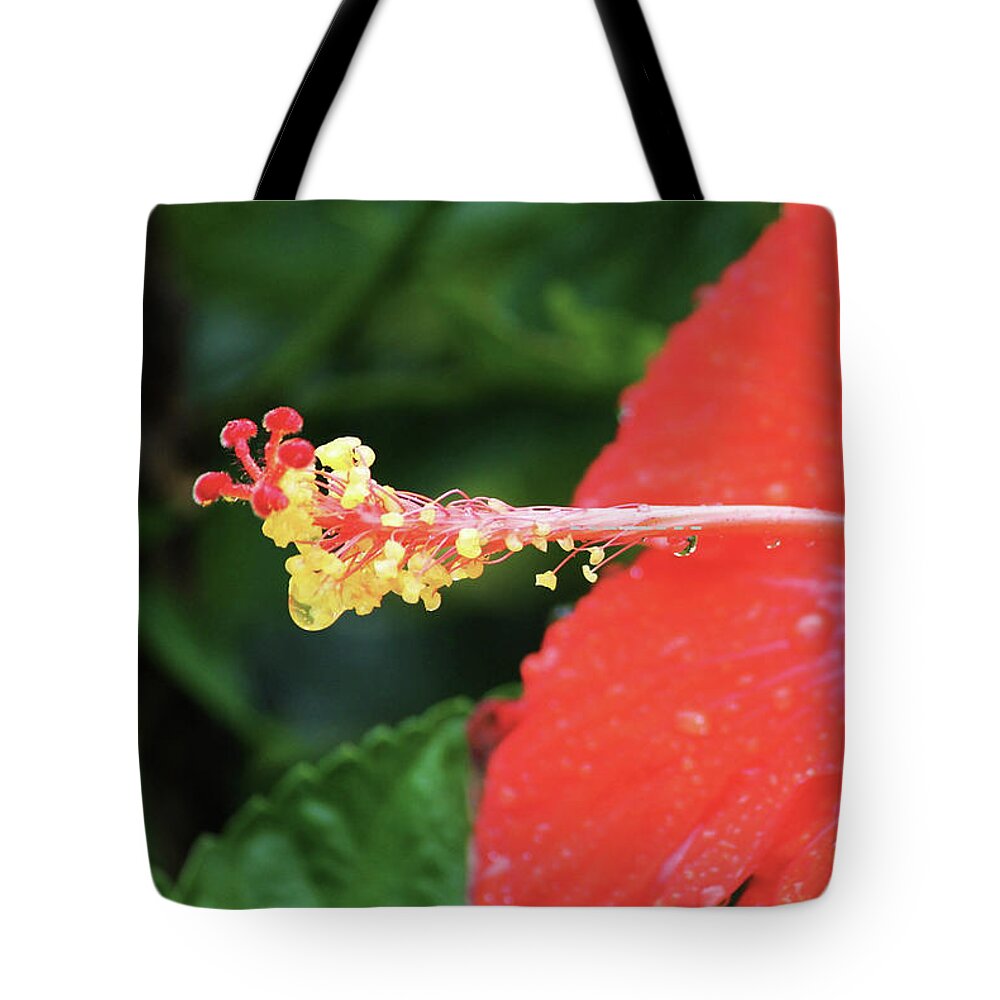 Flowers Tote Bag featuring the photograph Rain Drops by Rod Whyte