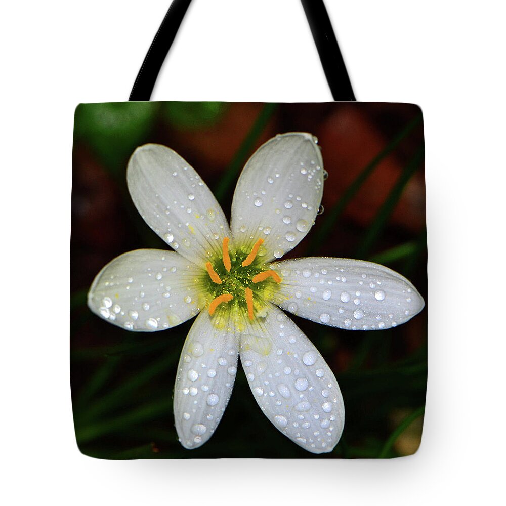Macro Tote Bag featuring the photograph Rain Lily 025 by George Bostian