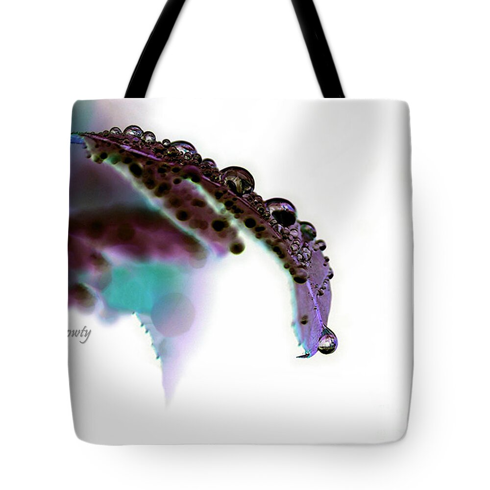 Rain On Rose Leaf Abstract Tote Bag featuring the photograph Rain on Rose Leaf Abstract by Natalie Dowty