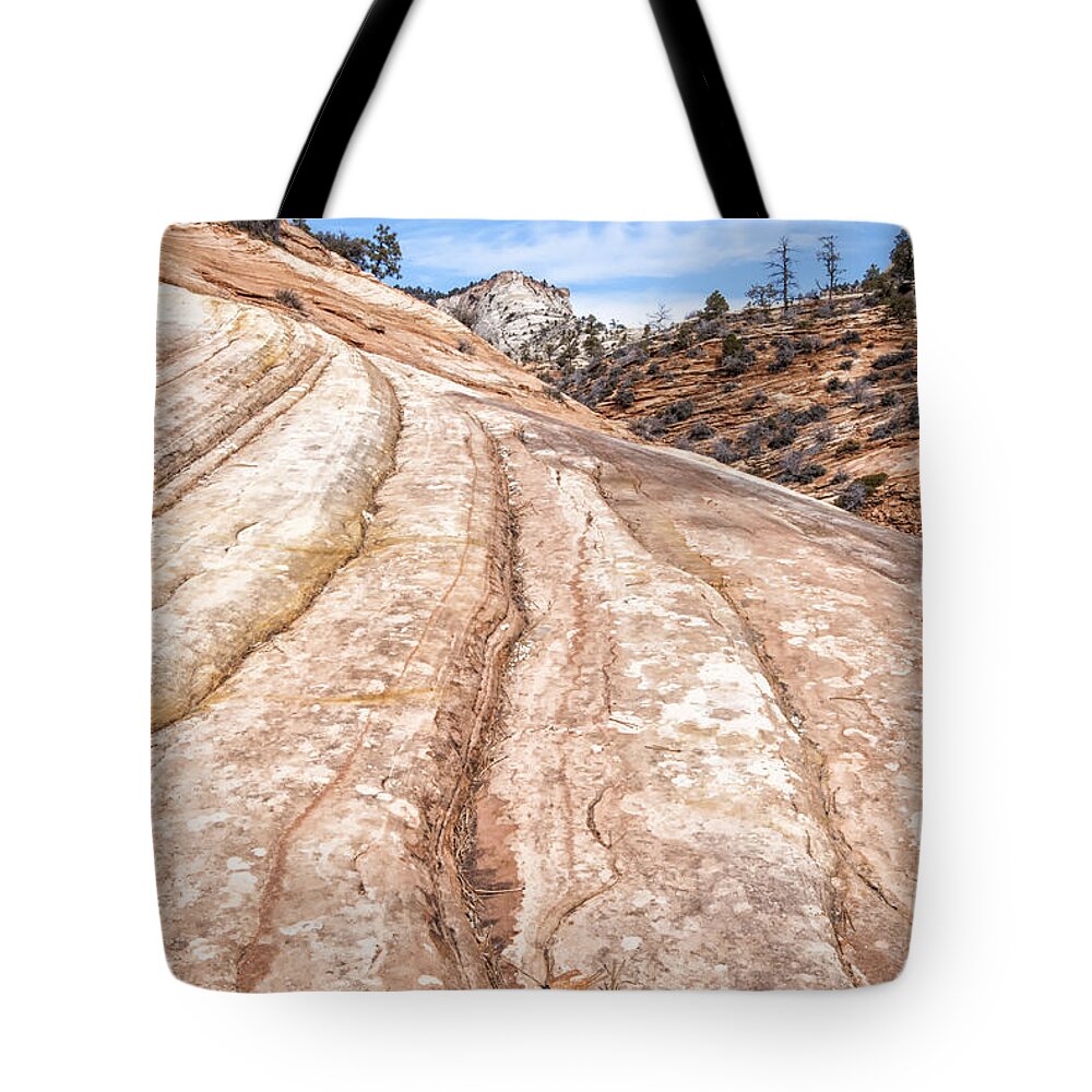 Crystal Yingling Tote Bag featuring the photograph Rain Worn by Ghostwinds Photography