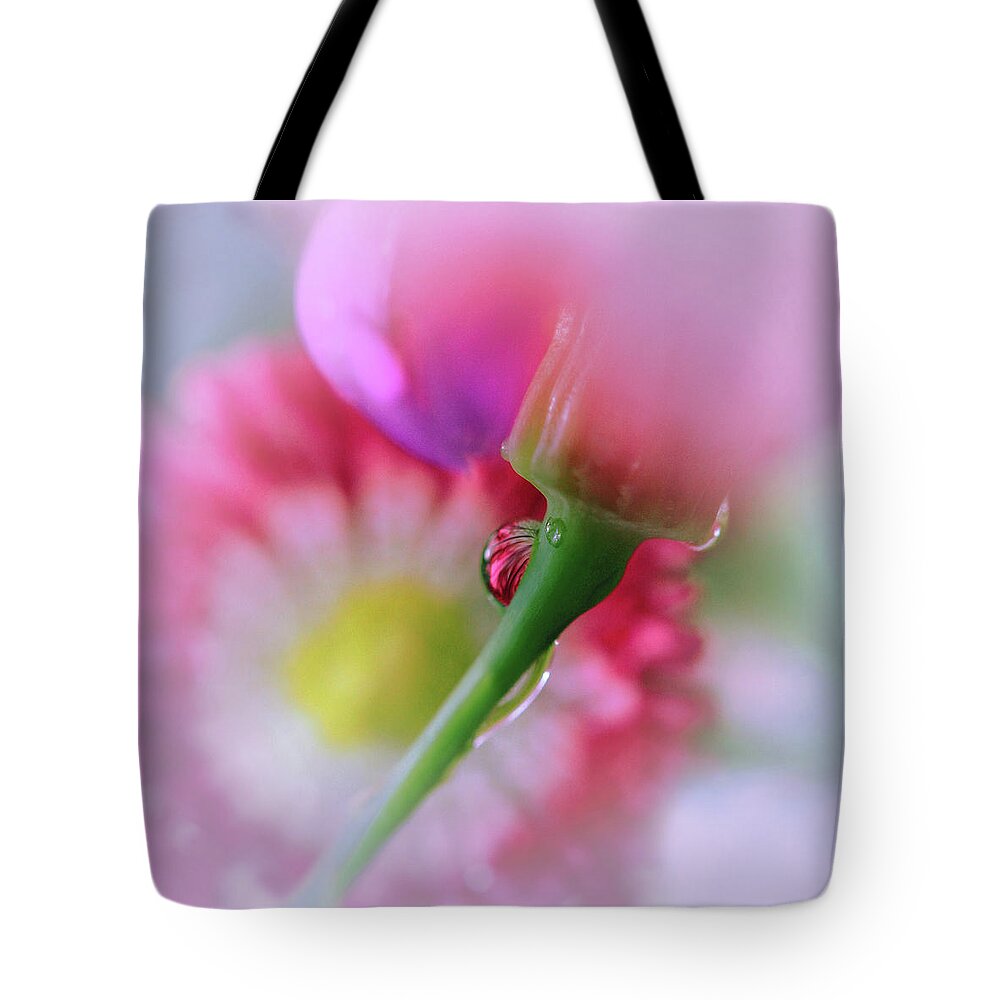 Connie Handscomb Tote Bag featuring the photograph Rainball by Connie Handscomb