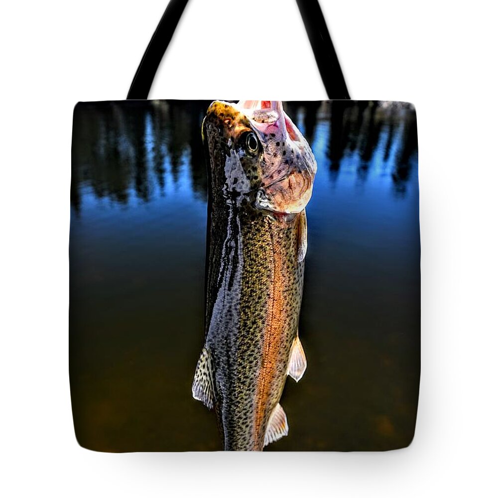 Rainbow Trout Tote Bag featuring the photograph Rainbow Days by Michael Brungardt