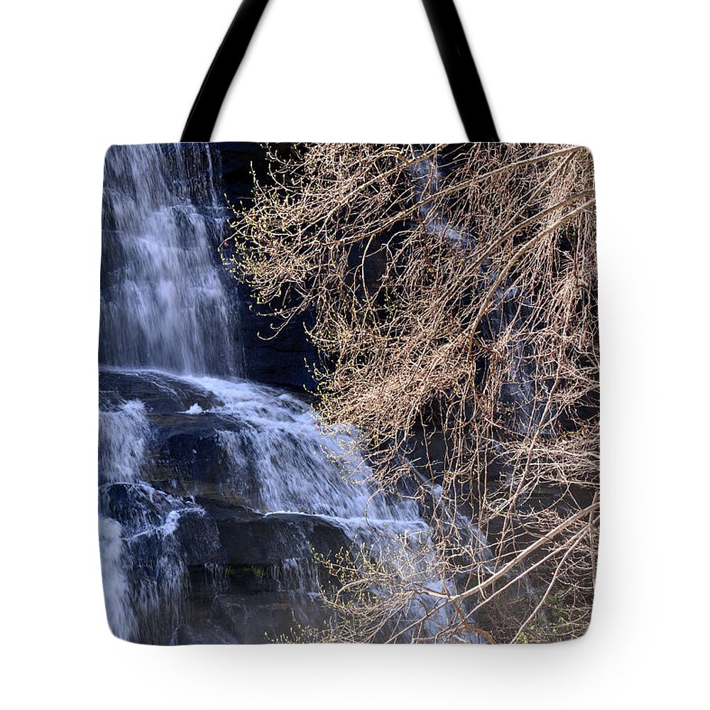 Waterfalls Tote Bag featuring the photograph Rainbow Falls in Gorges State Park NC 03 by Bruce Gourley