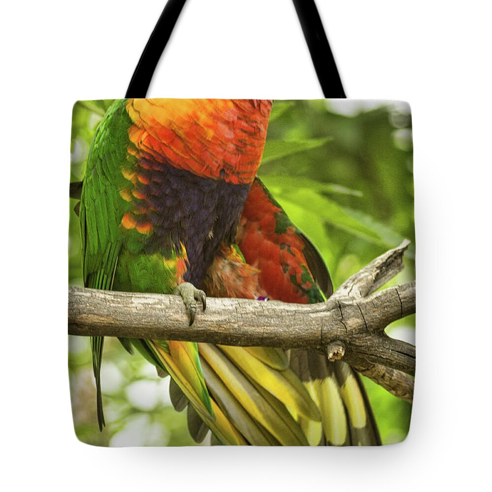 Bird Tote Bag featuring the photograph Rainbow Lory by Steven Parker