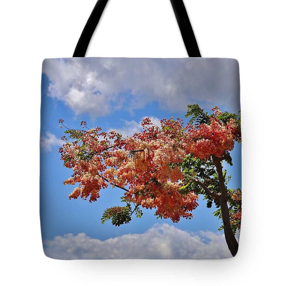 Rainbow Shower Tree Tote Bag featuring the photograph Rainbow Shower Tree by Craig Wood