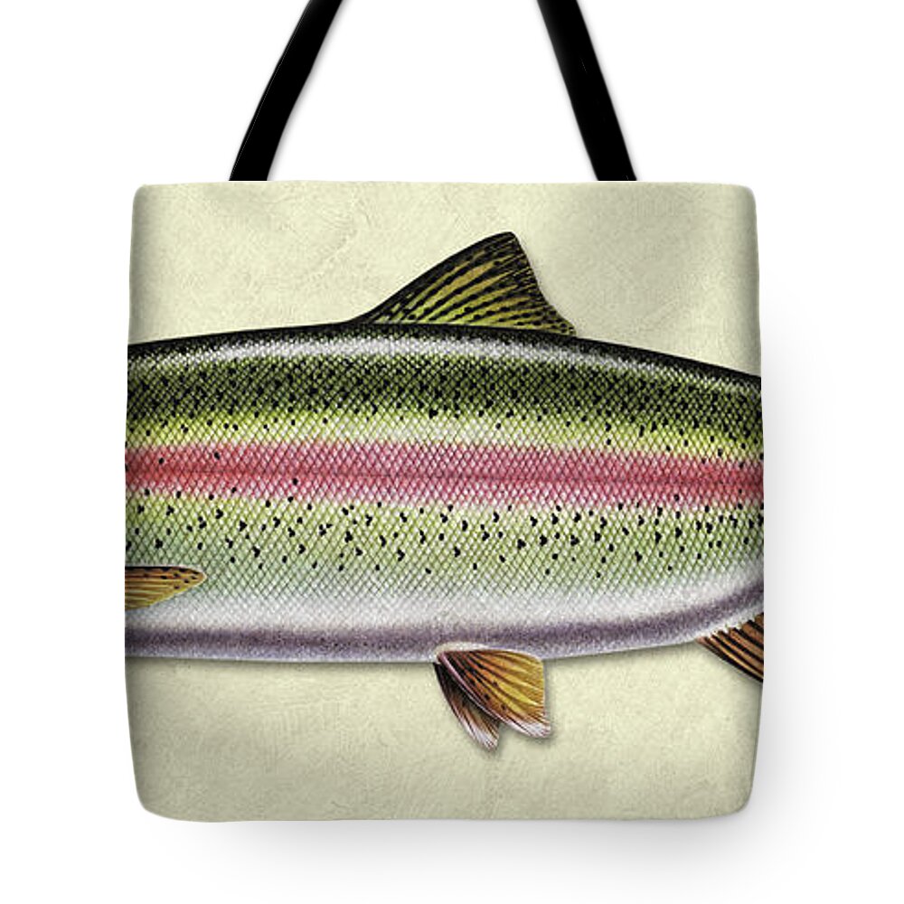 Jon Q Wright Fish Id Print Rainbow Trout Flyfishing Fly Freshwater Tote Bag featuring the painting Rainbow trout ID by Jon Q Wright
