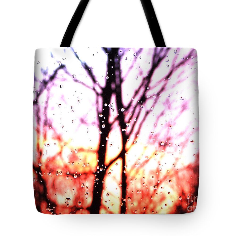Artoffoxvox Tote Bag featuring the photograph Raindrop Sunset Photograph by Kristen Fox
