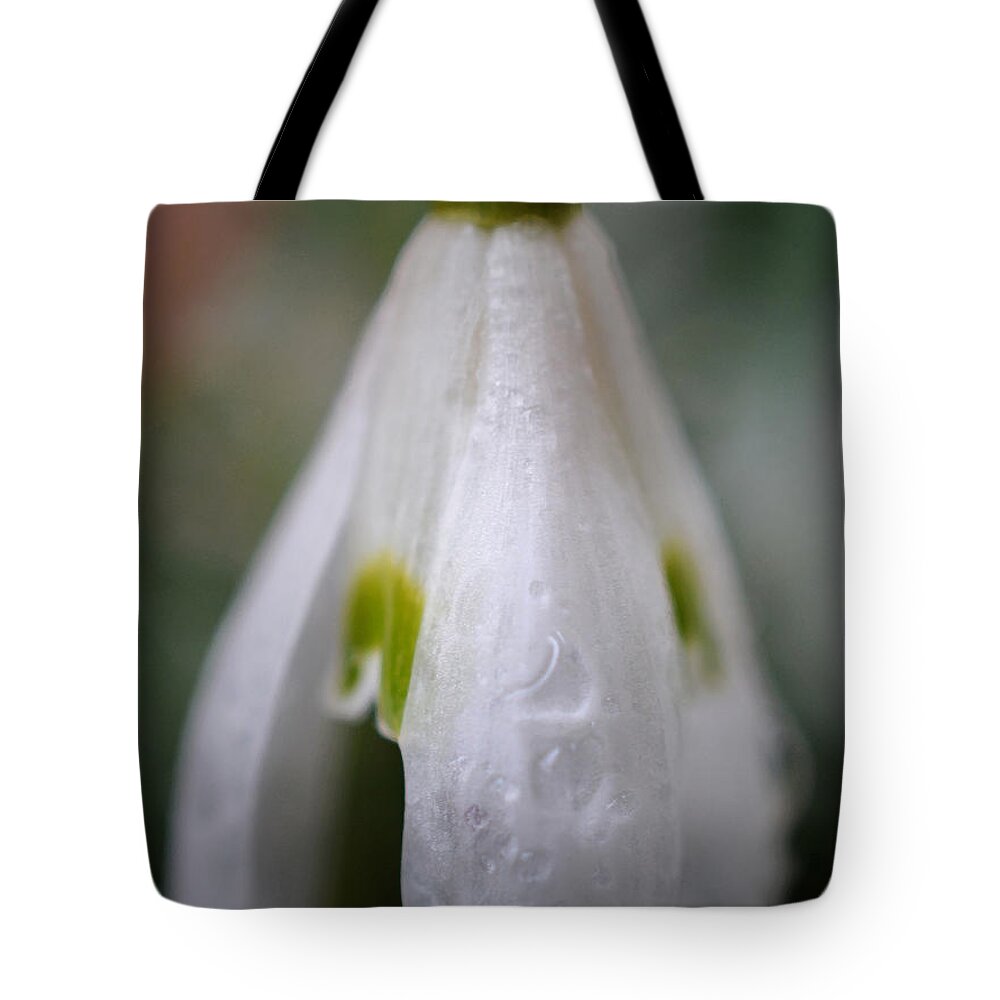 Snowdrop Tote Bag featuring the photograph Raindrops Keep Falling On My Head - Detail by Richard Andrews