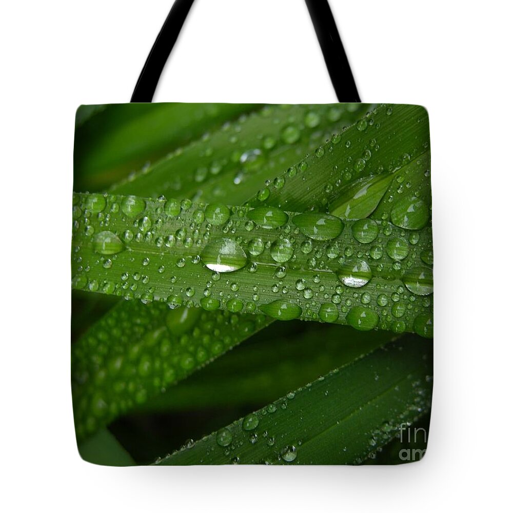 Rain Tote Bag featuring the photograph Raindrops on Green Leaves by Carol Groenen