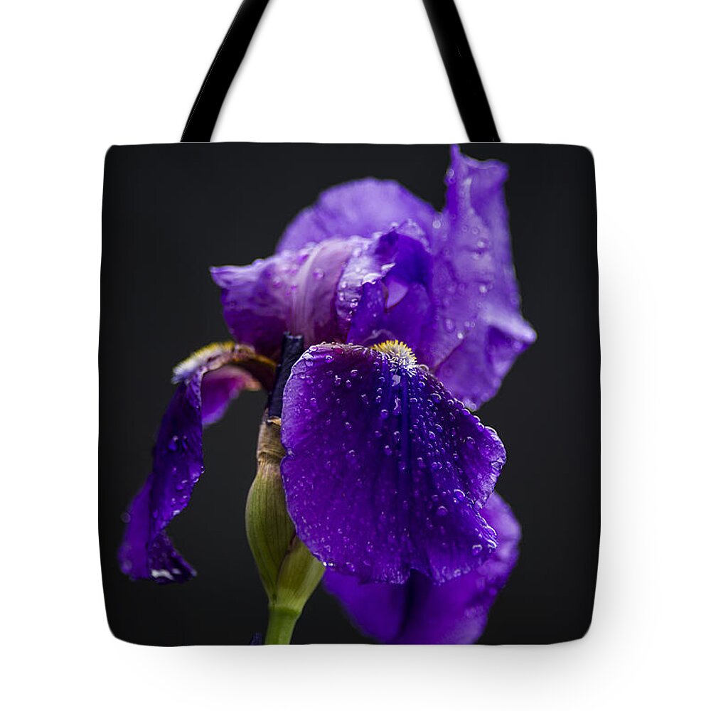 Flower Tote Bag featuring the photograph Raindrops on Iris by Karen Slagle