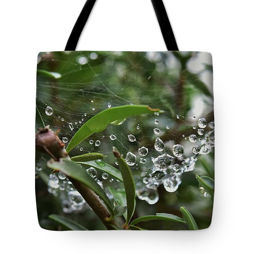 Linda Brody Tote Bag featuring the photograph Raindrops on Spider Web I by Linda Brody