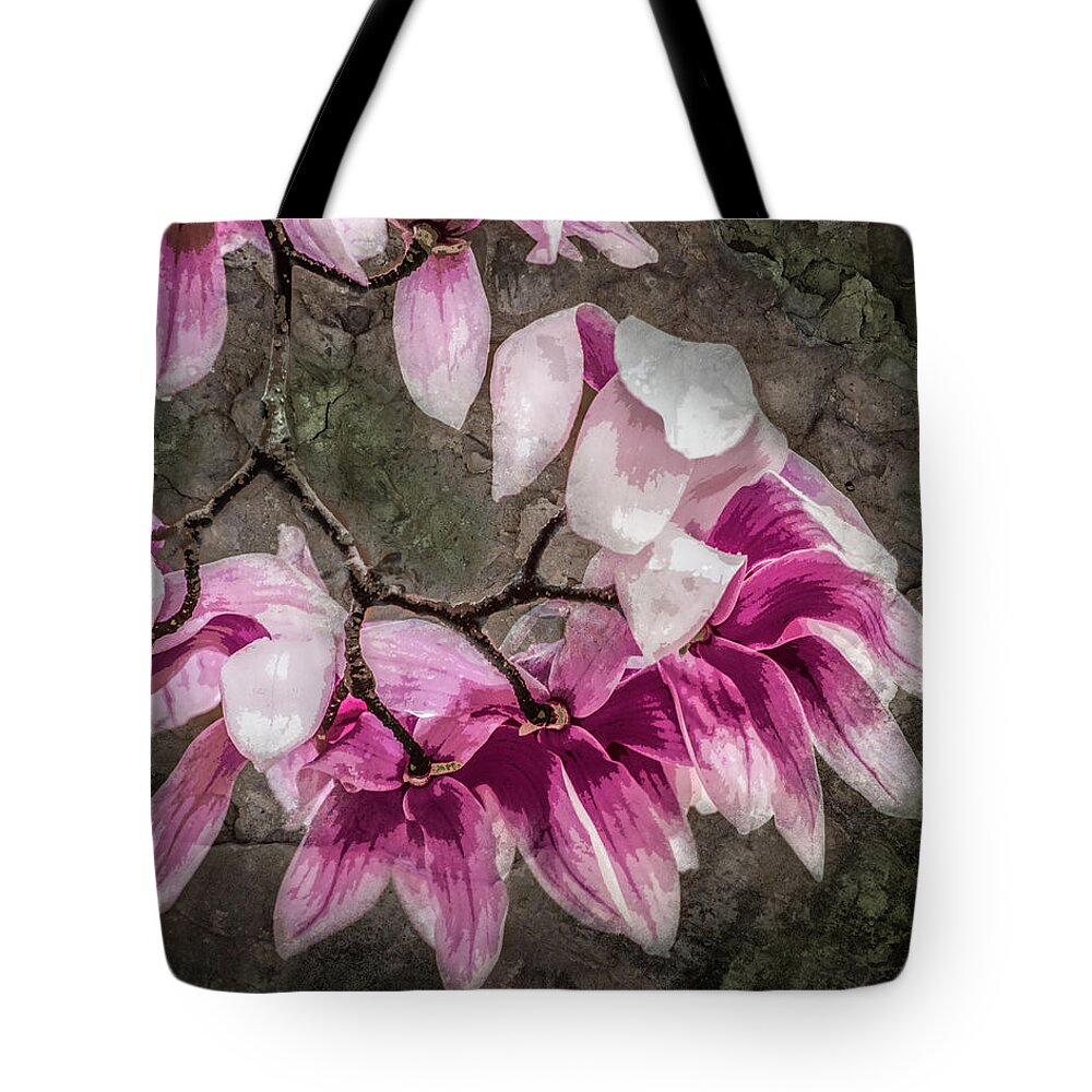 Tree Tote Bag featuring the photograph Rainy Day Magnolia by Michael Arend