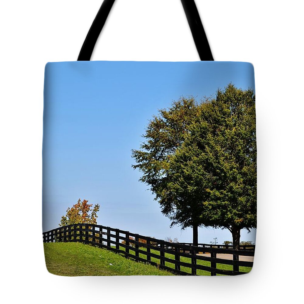 Fence Tote Bag featuring the photograph Ranch Fence by Eileen Brymer