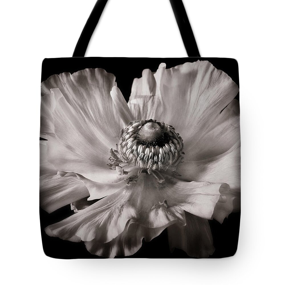 Ranunculus Tote Bag featuring the photograph Ranunculus by Carol Eade