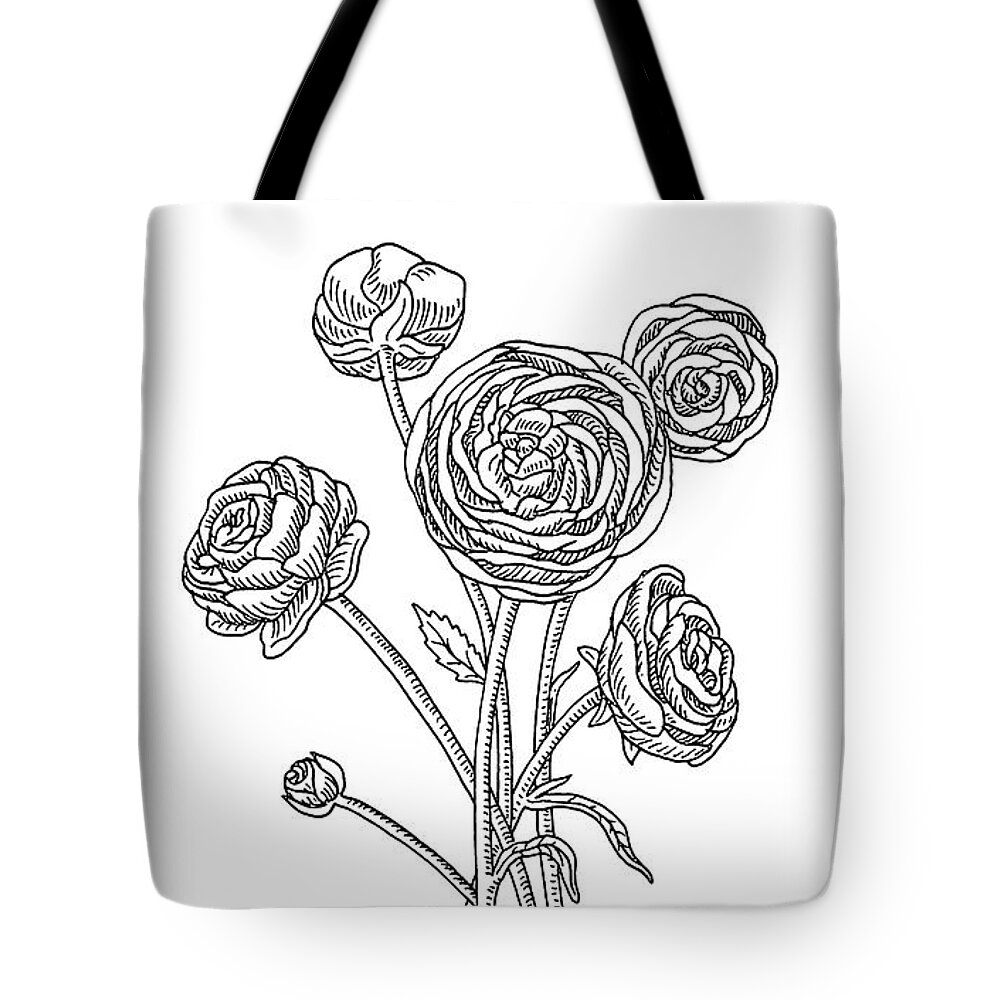 Ranunculus Tote Bag featuring the painting Ranunculus Flower Botanical Drawing by Irina Sztukowski