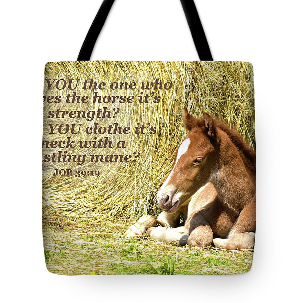 Rapid The Eight Hour Old Foal Tote Bag featuring the photograph Rapid The Eight Hour Old Foal And Scripture by Sandi OReilly