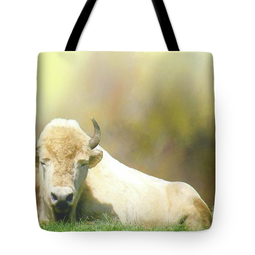 Buffalo Tote Bag featuring the photograph Rare White Buffalo by Janette Boyd