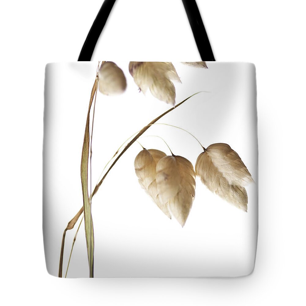 Rattlesnake Tote Bag featuring the photograph Rattlesnake Grass Number 1 by Carol Leigh