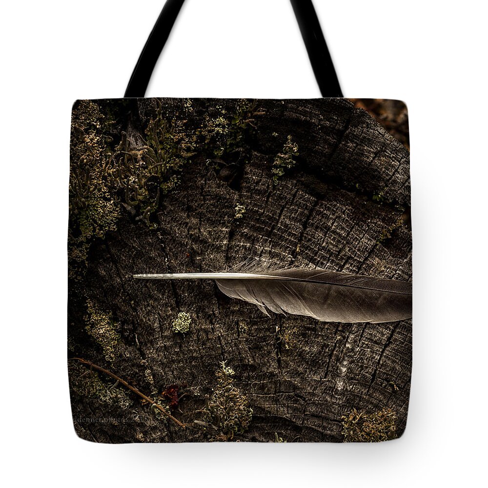 Raven Tote Bag featuring the photograph Ravens Feather by Fred Denner