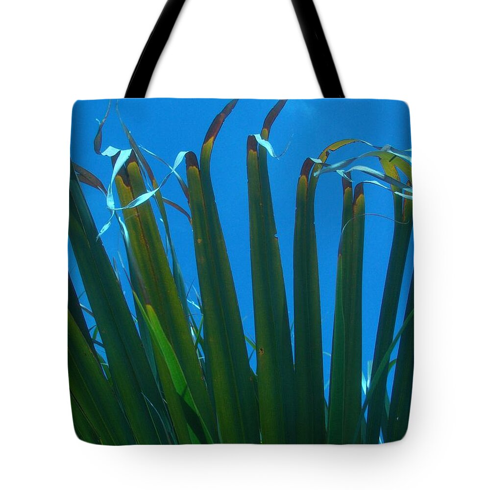 Nature Tote Bag featuring the photograph Reach For the Sky by Florene Welebny