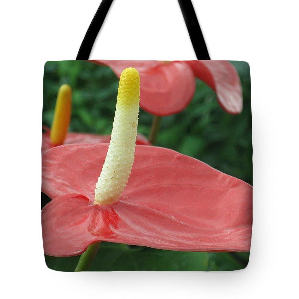 Tote Bag featuring the photograph Reach for the Sky by Ron Monsour
