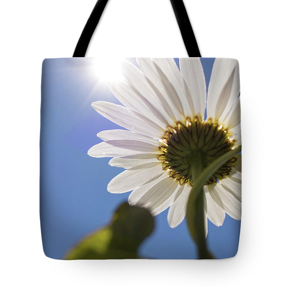 Daisy Tote Bag featuring the photograph Reach by Holly Ross