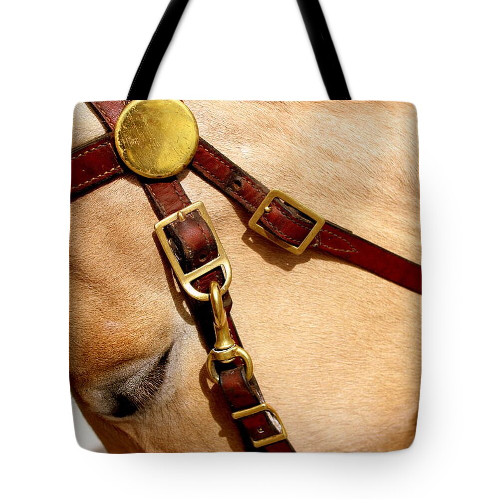 Caring Heart Tote Bag featuring the photograph Reach Out And Touch Someone You Love by Fiona Kennard