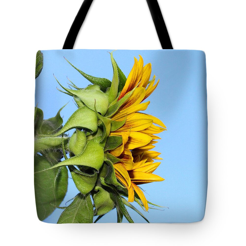Sunflower Tote Bag featuring the photograph Reaching Sunflower by Brian Eberly