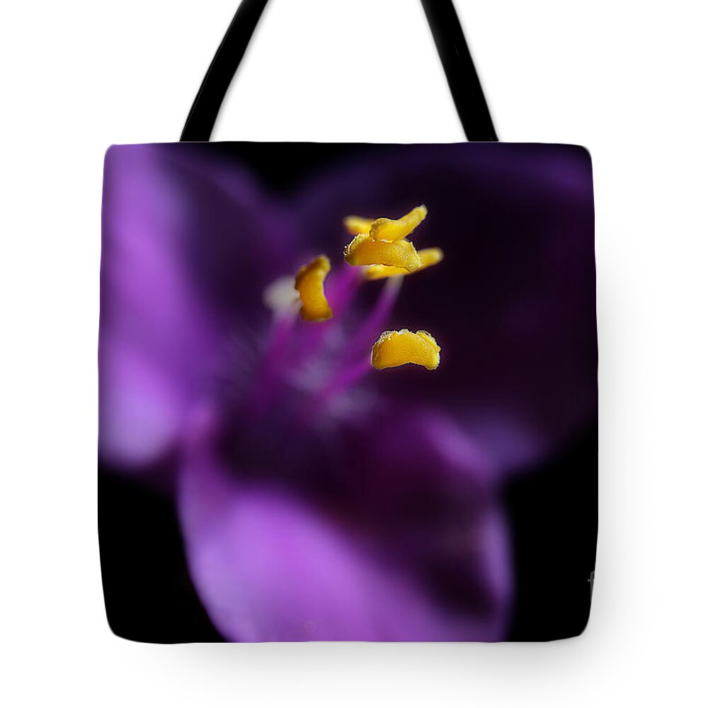 Purple Heart Flower Tote Bag featuring the photograph Reaching by Michael Eingle